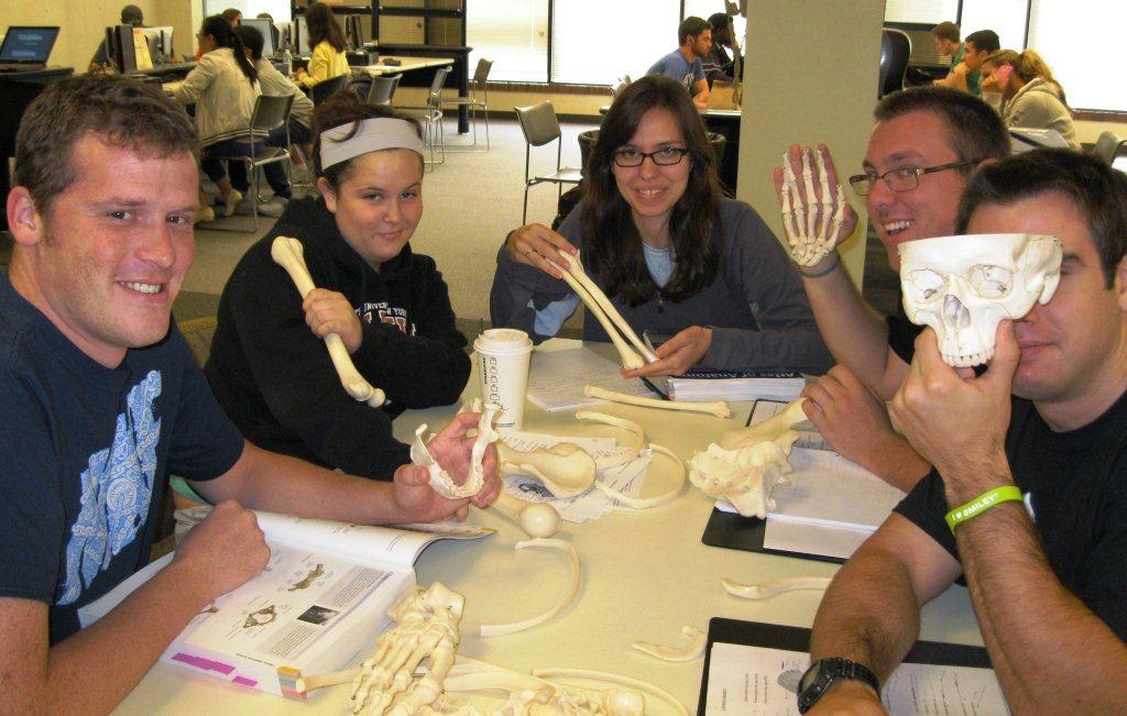 Duquesne Students Working with Bones