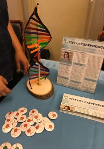 A DNA model and other interactive exhibit materials