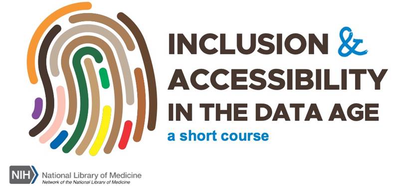 banner for Inclusion and Accessibility in the Data Age short course