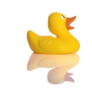 Yellow rubber duck with reflection