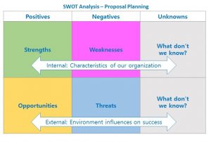 NEO's version of the SWOT charts with a third column in gray for the internal and external unknowns