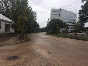 Post hurricane street in Karen's Houston neighborhood.