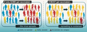 illustration showing herd immunity from the CDC: if only some get vaccinated, the virus spreads. if most get vaccinated, spreading is contained.