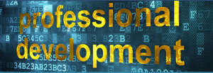 Picture with fake computer code background and the words "Professional Development"