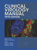 image for Clnical Virology Manual ebook