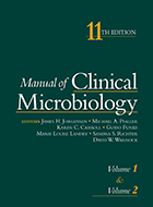 image for Manual Clin Microbiology ebook
