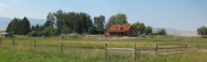 Barn in Summer