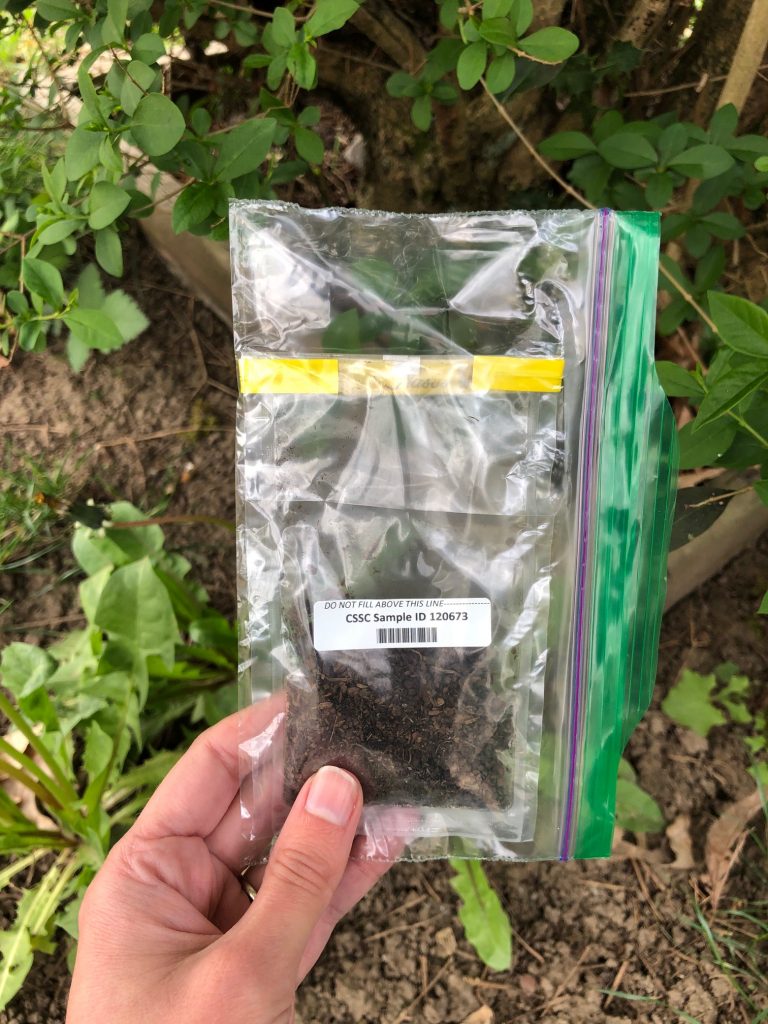 hand holding a soil sample