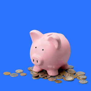 pink piggy bank standing on coins, in front of a blue background