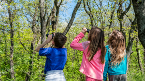 Group of three children looking through binoculars in the woods