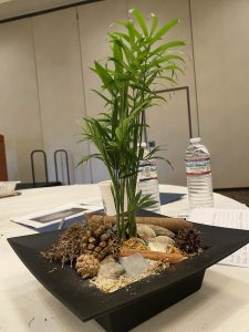 Bamboo plant in a black square planter