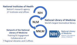 Flow chart showing the relationship of NIH to NLM to NNLM