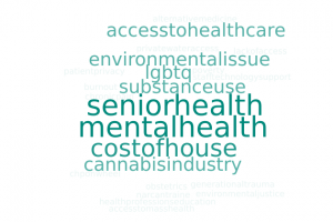 Word cloud of answers for "2.Based on your experience with the community, what are the primary health concerns?" from key informant interviews in Berkshire County. The largest words are "Senior Health" and "Mental Health" followed by "cost of housing", LGBTQ, Access to Healthcare, Substance Use, environmental issues