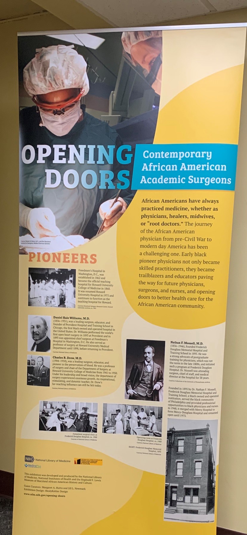 Member Spotlight Horblit Health Sciences Library Danbury Hospital