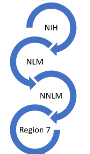 Flow chart with circular arrows pointing from NIH to NLM to NNLM to Region 7