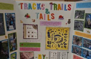 Photo of science fair project, Tracks, Trails, and Tails. Project includes photos of trails and guides for nature identification. 
