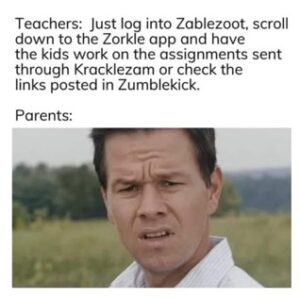 Teachers: Just log into Zablezoot, scroll down to the Zorkle app and have the kids work on the assignments sent through Krackelzam or check the links posted in Zumblekick. Parents: [screen capture of actor Mark Wahlburg looking confused and harried]